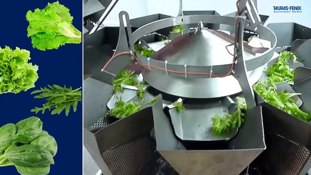 Фасовка листьев салата в пакет-подушку на фасовочной машине Питпак М смотреть онлайн