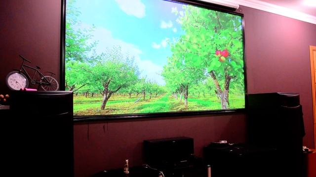 экран для проектора тест