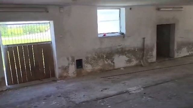 Забота о животных! Доставка овец и баранов из Европы! Здоровье, комфорт и защита животных! смотреть онлайн