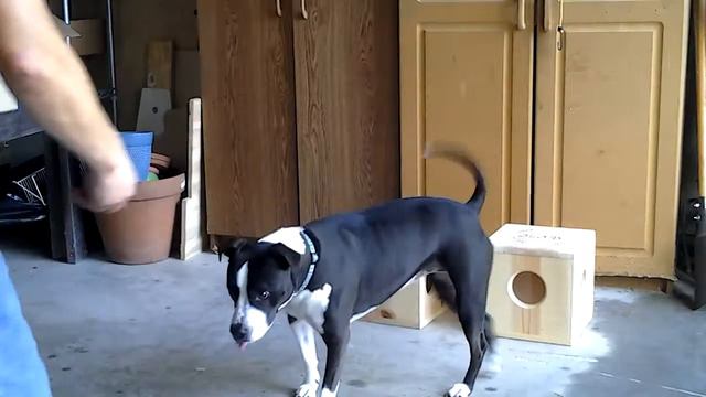 Bonnie NW Session 10/5 смотреть онлайн