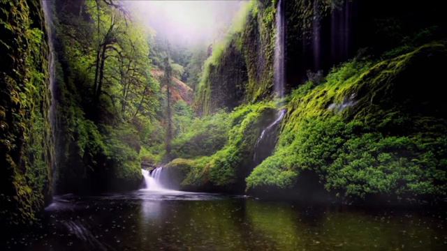 1 Hour Waterfall Healing Sounds - Soothing Background Music to Calm, Relax, Study, Focus смотреть онлайн