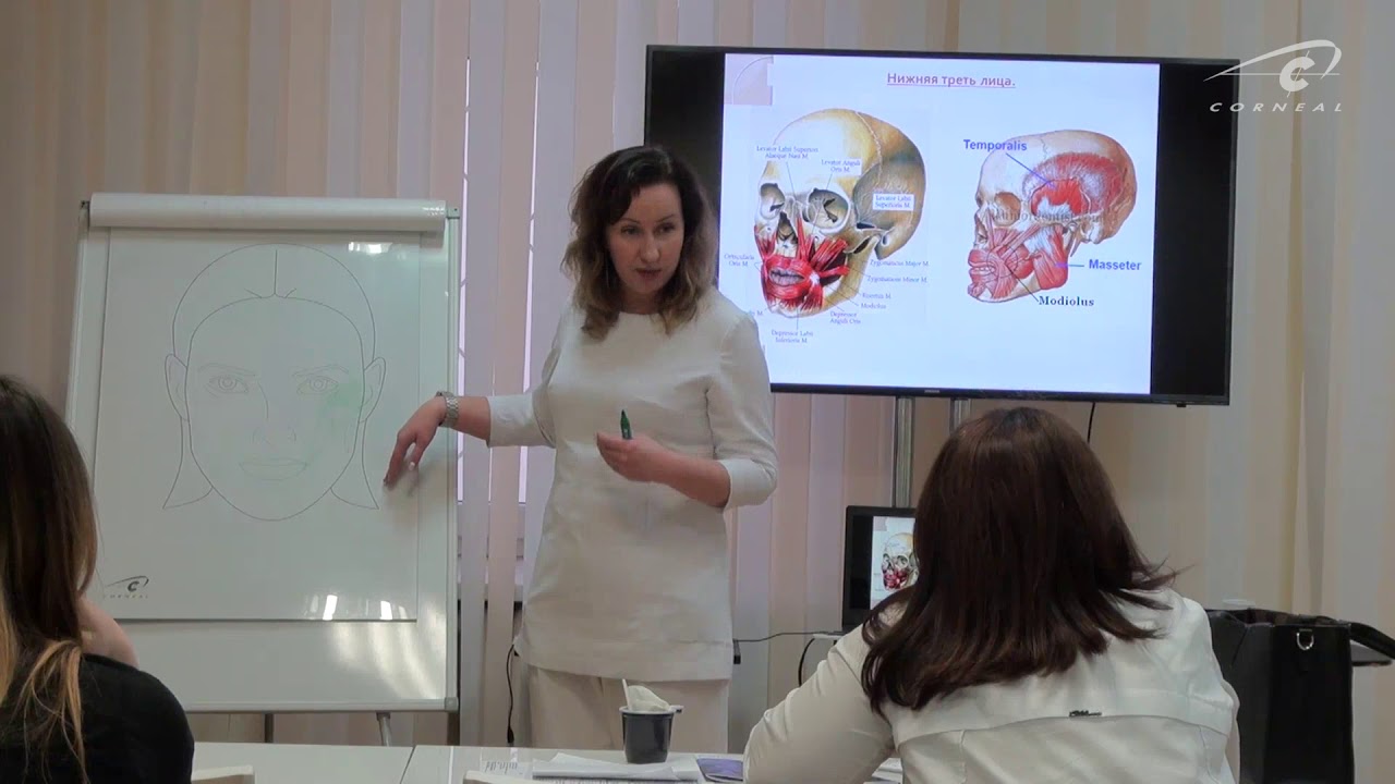 Мария Шашкина, отрывок теоретической части семинара по контурной платике смотреть онлайн
