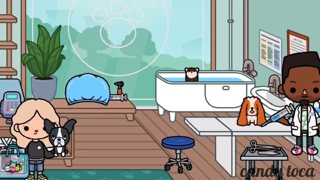 •| новый питомец ??// кого я завела? ??// тока бока ☁️?|•