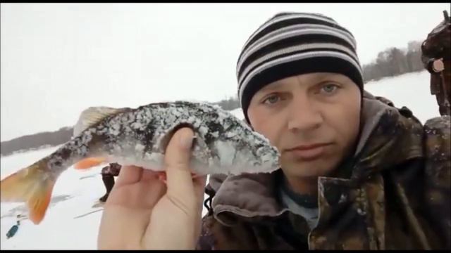 "ВОЛГА - ТУР 2018" ВЕС - 2 январь "Окунь" смотреть онлайн