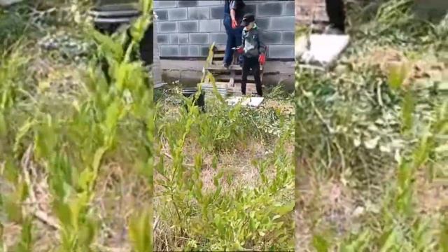 10 жасар баланың еңбек ақысын бергім келмеді!