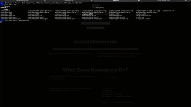 Install JDK on macOS смотреть онлайн