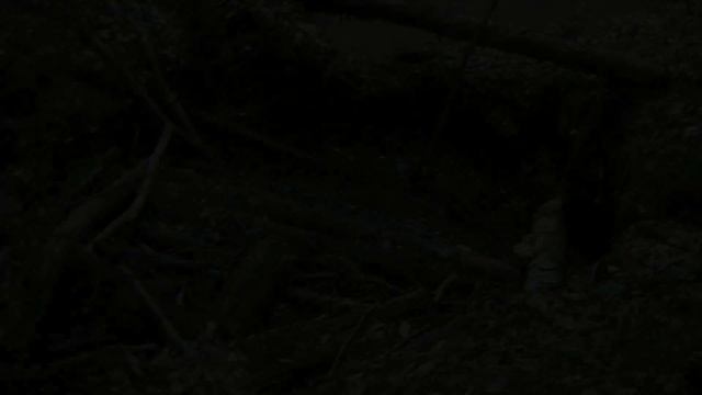 По местам отступления немцев.Калининград.Анонс.Копаем. смотреть онлайн