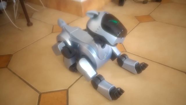 Broken aibo смотреть онлайн
