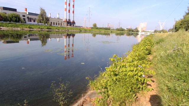 Отводной канал. Тушино 06.08.2024 смотреть онлайн