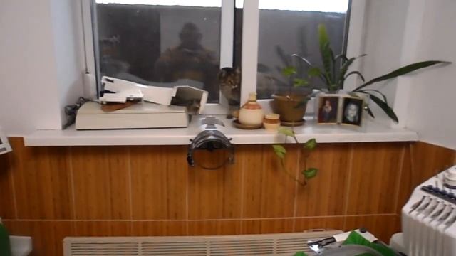 вышивка в Кишинев и очередной котяра - точнее кошка смотреть онлайн