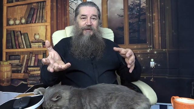 Обзор комментариев 19 11 2020 смотреть онлайн