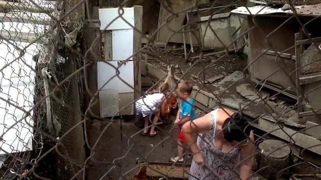 Знакомство с курочками на даче в Крыму смотреть онлайн