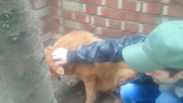 Собака Ванючка и слав смотреть онлайн