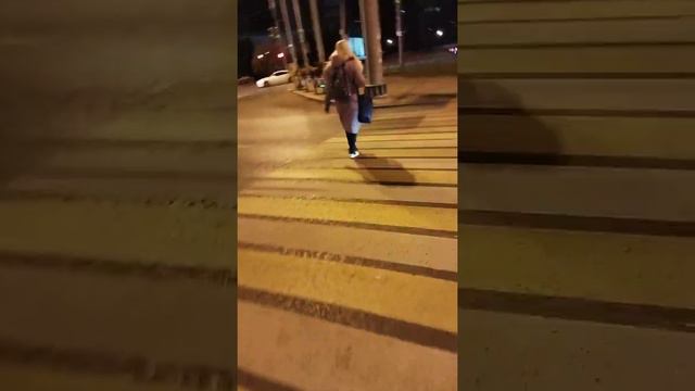 В Самаре женщина водит за собой стаи бездомных собак