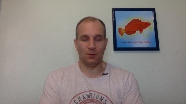 "Рифовый Аквариум" Обработка и Адаптация Кораллов. Часть 71 смотреть онлайн