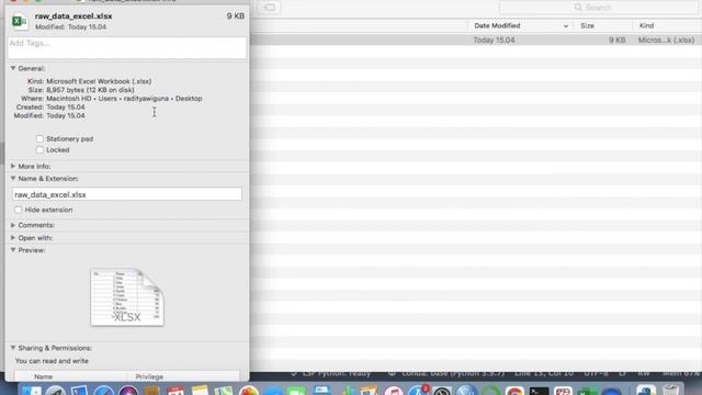 PYTHON PROGRAMMING TUTORIAL 2 - menginstall Python packages/library - Import & Export excel file смотреть онлайн