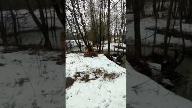 Приходит время, с юга птицы прилетают ?(Анна Герман"Весна") ?? смотреть онлайн