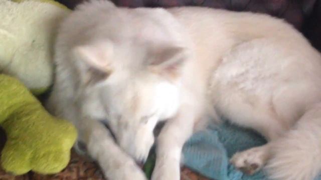 ЕМ ОГУРЕЦ И РАЗМЫШЛЯЮ