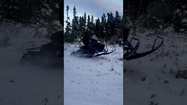 Yamaha Transporter Lite 400 wheelies. смотреть онлайн