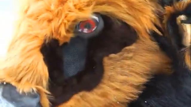 snow - rusfurrence 2011 fursuite fun in winter p.5 final смотреть онлайн