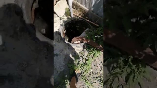 продается Зил в Саратове смотреть онлайн