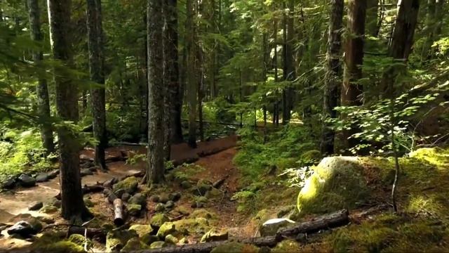 Гарри Поттер и Философский камень