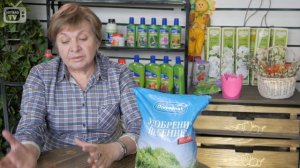 Малина ? Как правильно омолодить посадки малины? ? Полезные советы эксперта hitsadTV