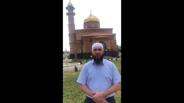 В Эльхотово прошла викторина по истории пророков смотреть онлайн