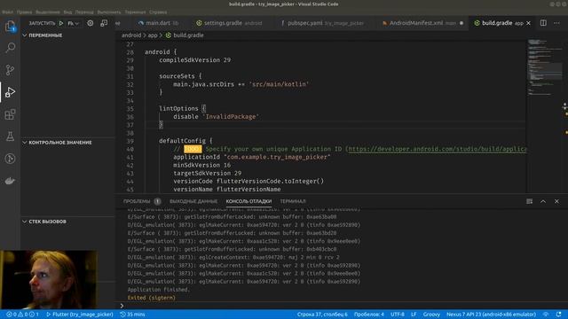 Flutter #219 - Реализовал демо-проект на image_picker смотреть онлайн