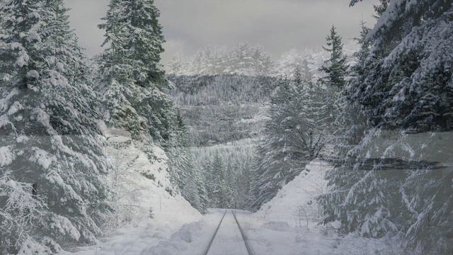 December 13th смотреть онлайн