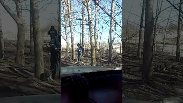 Незаконная камера. смотреть онлайн