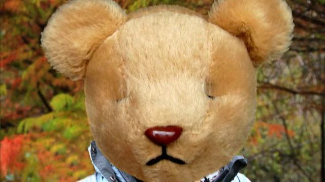 Как отучить хомяка кусаться? смотреть онлайн