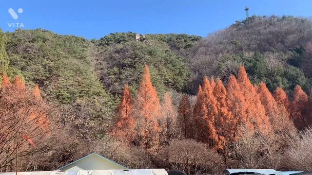 ??Korea Daejeon ?streets,bridge,travel! \Корея Тэджон мост,улицы./Корея кучалари, куприк!