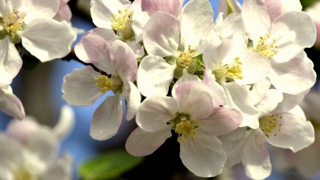 Уравновешивание вибраций. Практика.