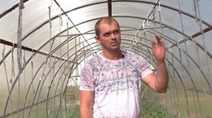 Как быстро подвязать  высокорослые помидоры в теплице.