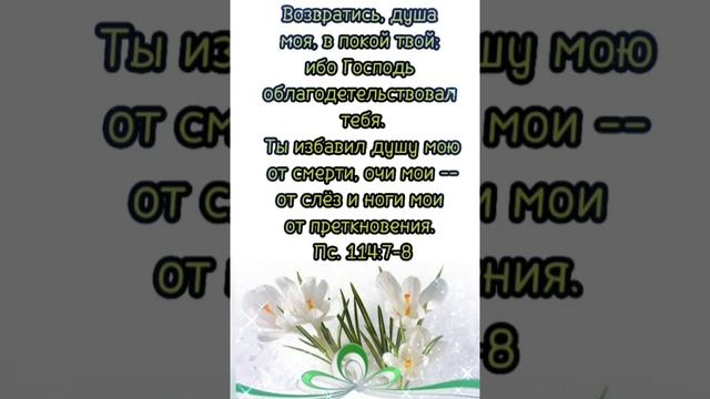 Благословенной ночи! Христианское пожелание. смотреть онлайн