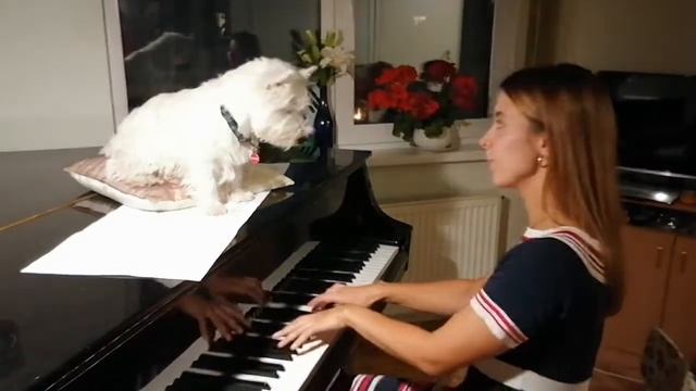 РАЗУЧИВАНИЕ ВАЛЬСА "МИНУТКА" С АРЧИБАЛЬДОМ - CHOPIN MINUTE WALTZ смотреть онлайн