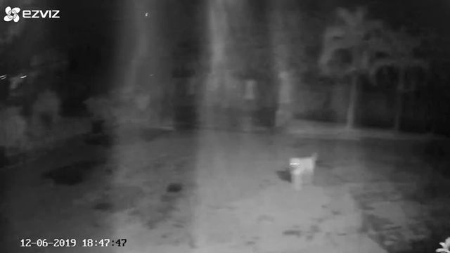 Lỗi camera Ezviz C1c( IR mode) 3 смотреть онлайн