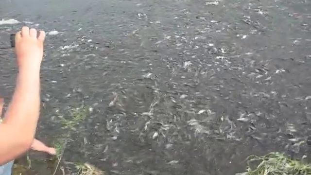 Астрахань я охренел смотреть онлайн