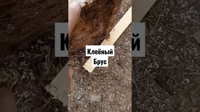Клееный брус валявшийся на земле пять лет. #клееныйбрус #домизбруса #домостроение #деревянныйдом смотреть онлайн
