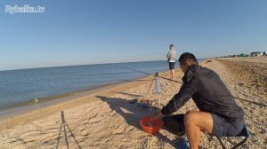 Рыбалка на Должанской косе. Ловим тарань в Азовском море
