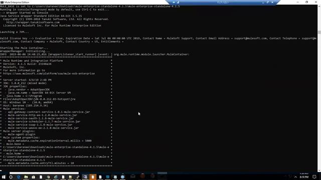 Mule Deployments & docker Intro смотреть онлайн