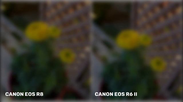 Canon EOS R8 VS Canon EOS R6 Mark II | Night Mode Camera Test смотреть онлайн