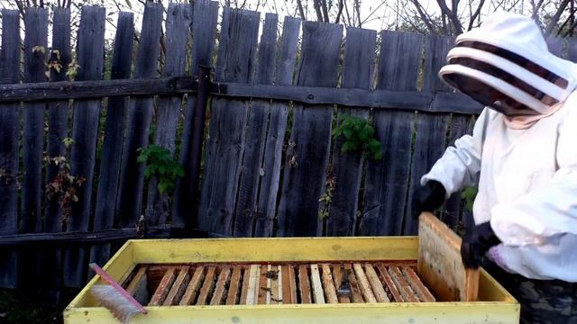Забираю мёд ещё в одной семье Карника. смотреть онлайн