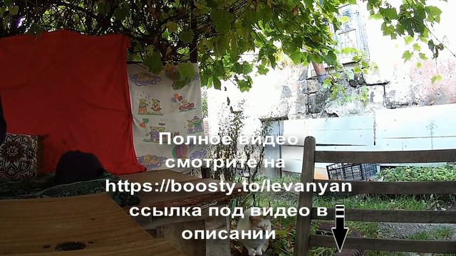 Эксклюзивная беседа на Ахалкалакском диалекте про Ахалкалакцев 50 лет спустя 7 октября 2023 года смотреть онлайн