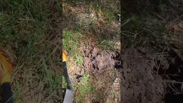 Энколпион!!! Коп по старине смотреть онлайн