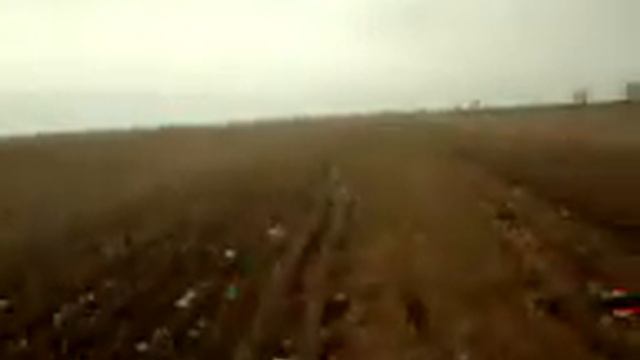 ищем зайца.охота 2015 январь смотреть онлайн