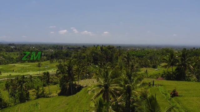 Traditional Music indonesia No Copyright Gamelan Java | Zingen music смотреть онлайн