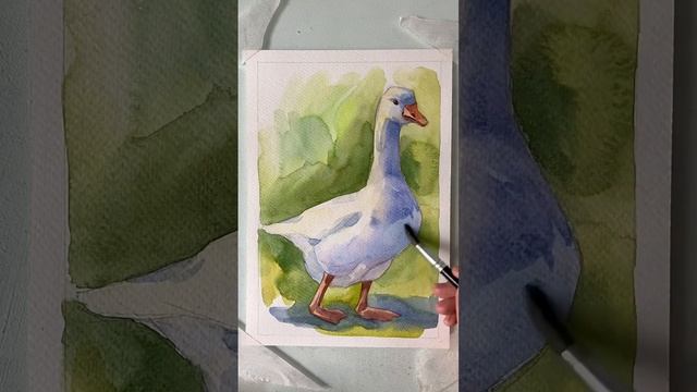 Рисунок гуся акварелью #живопись #рисование #видеоурок #акварельнаяживопись смотреть онлайн