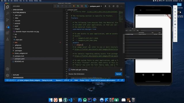 Load Images in Flutter смотреть онлайн